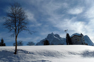 gallery_02