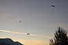 gallery_04